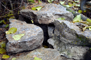 Similar image 22558607