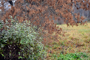 Similar image 22558608