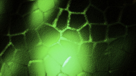 Similar image 22564432