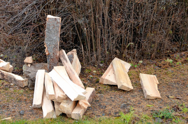 Similar image 22558609