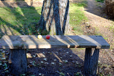 Similar image 22558612