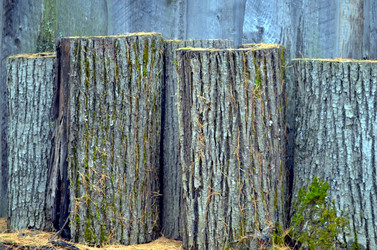 Similar image 22558619