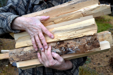 Similar image 22558625