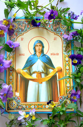 Similar image 22558628