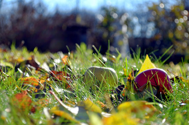 Similar image 22558629