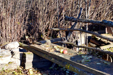 Similar image 22558630