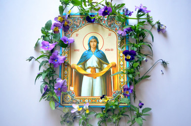 Similar image 22558631