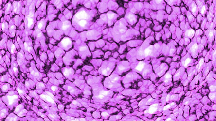 Similar image 22570079