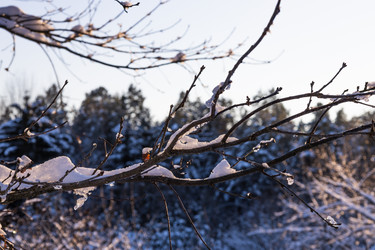 Similar image 22560159