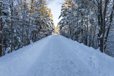 Similar image 22560161