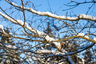 Similar image 22560162