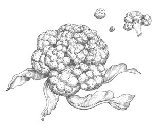 Similar image 22558956