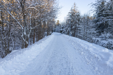 Similar image 22560184