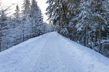 Similar image 22560185