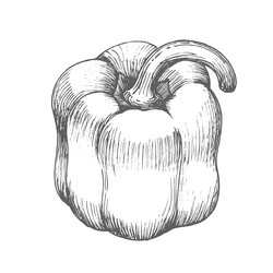 Similar image 22558959