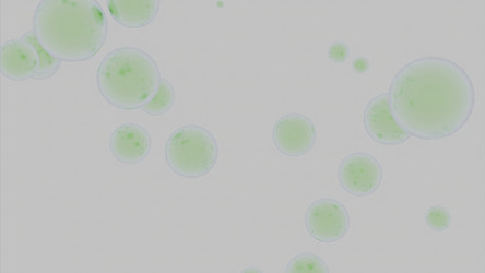 Similar image 22564343