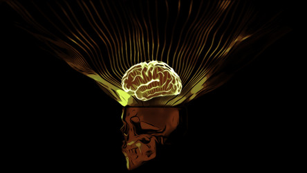 Similar image 22565637