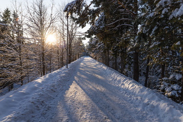 Similar image 22560142