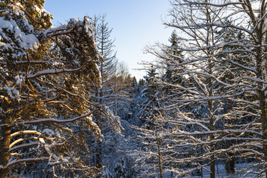 Similar image 22560143