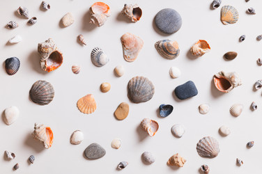 Similar image 22560216