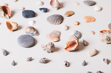 Similar image 22560218