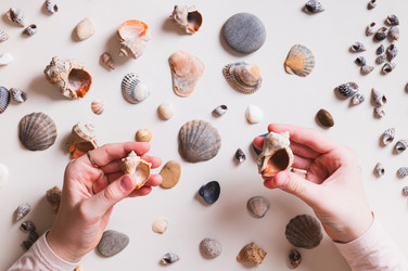 Similar image 22560257