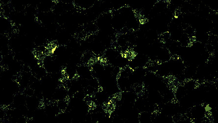 Similar image 22568597