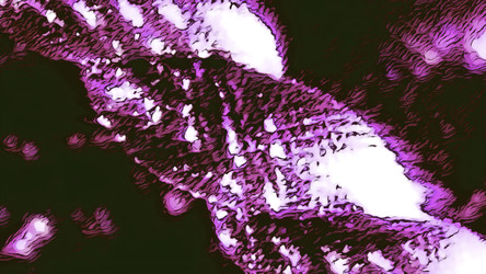 Similar image 22574912