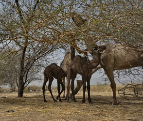 Similar image 22560003