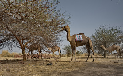 Similar image 22560004