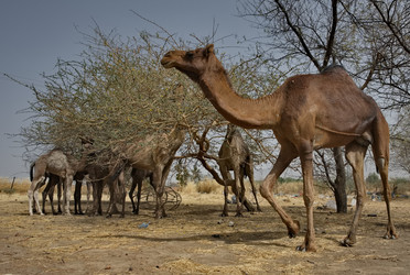 Similar image 22560005