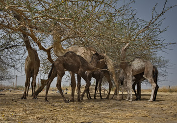 Similar image 22560010