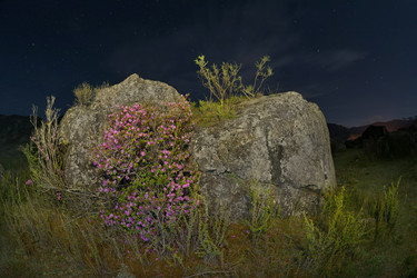 Similar image 22560011