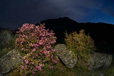 Similar image 22560012