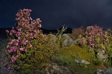 Similar image 22560013