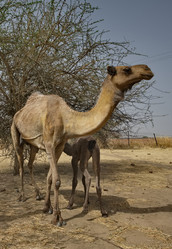 Similar image 22560014