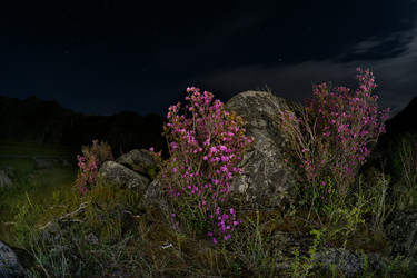 Similar image 22560016