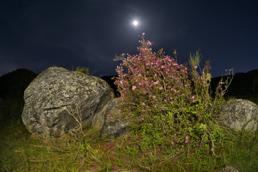 Similar image 22560017