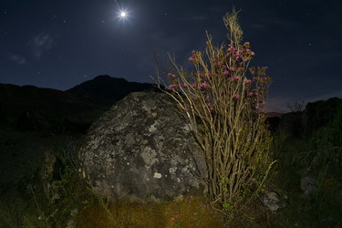 Similar image 22560018