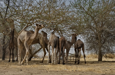 Similar image 22560019