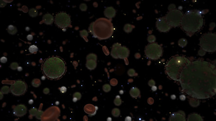 Similar image 22572466