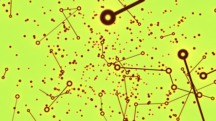 Similar image 22559926