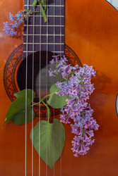 Similar image 22561909