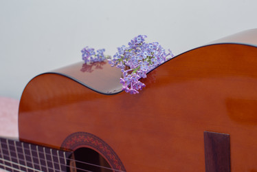 Similar image 22561910