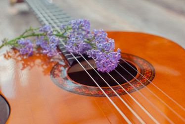 Similar image 22561912