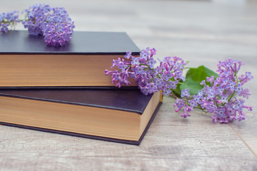 Similar image 22561913