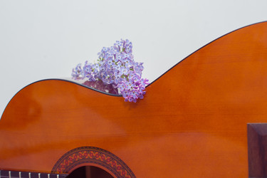 Similar image 22561914