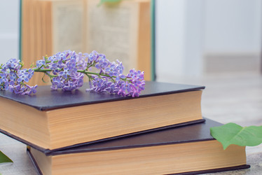 Similar image 22561915