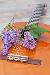 Similar image 22561920