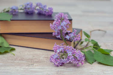 Similar image 22561921